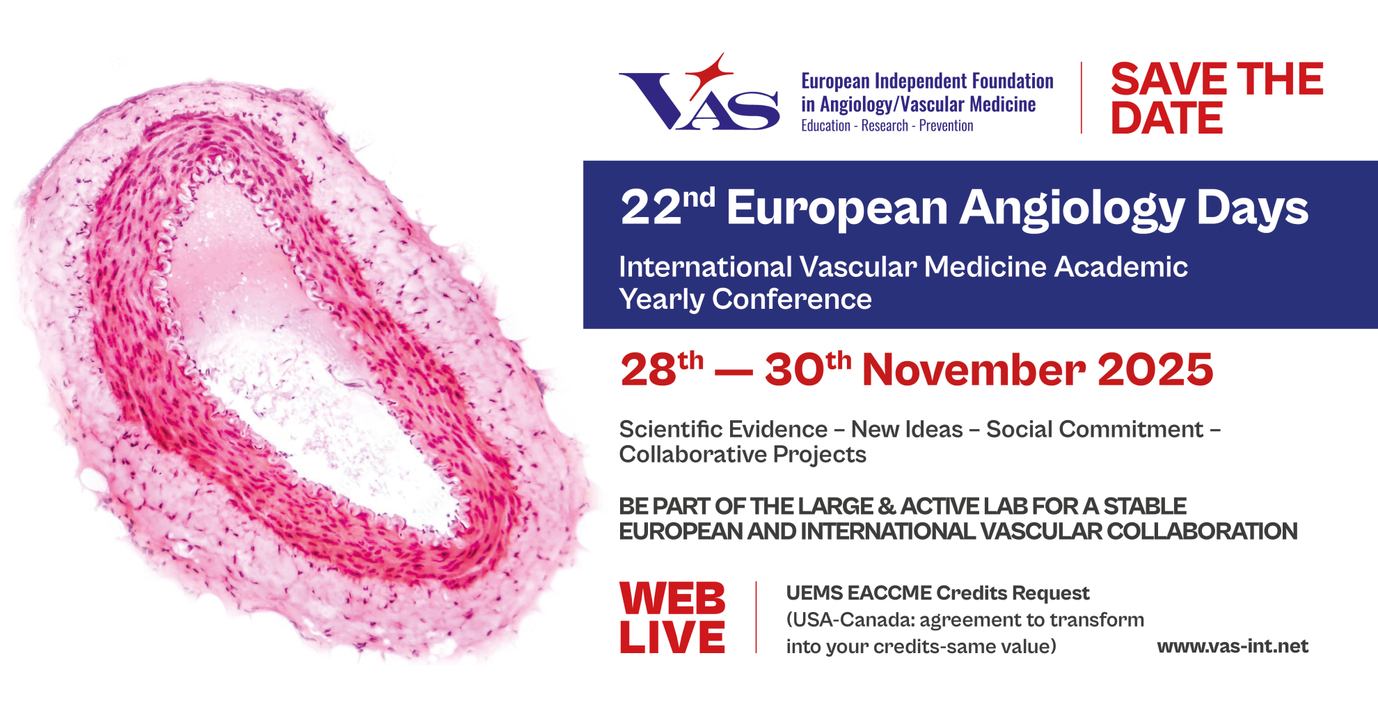 22nd European Angiology Days