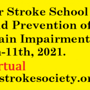 31st Summer Stroke School - Virtual