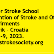 33rd Summer Stroke School - Healthy Lifestyle and Prevention of Stroke and Other brain Impairments