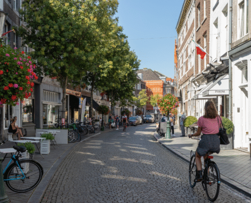 Travel To Maastricht A full congress hall listening to a speaker