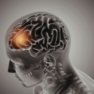 Illuminated brain inside skull