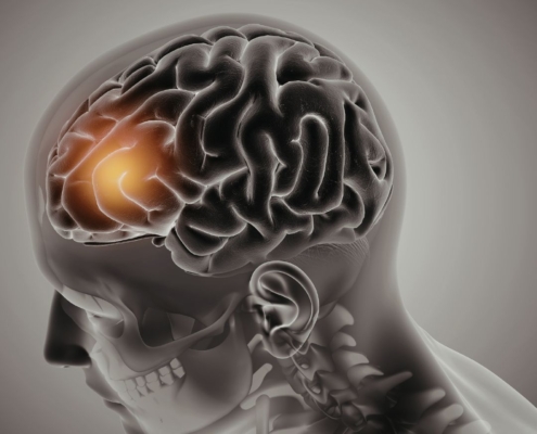 Illuminated brain inside skull