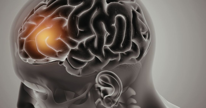 Illuminated brain inside skull