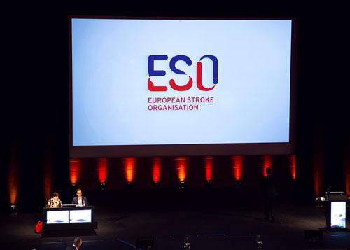 Participants are treated to a presentation