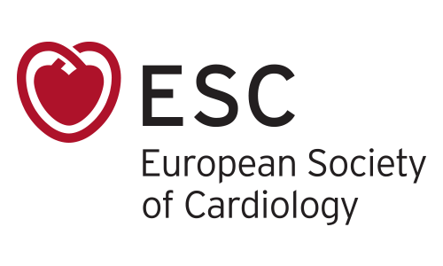 4th International Conference of ESC Council on Stroke (Heart and Stroke 2021)