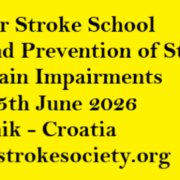 The 36th Summer Stroke School: Healthy Lifestyle and Prevention of Stroke and other Brain Impairments