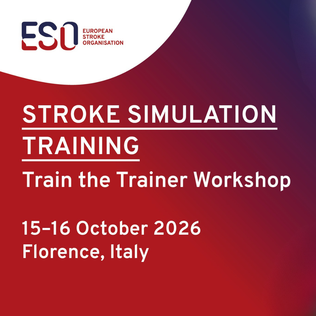 Stroke Simulation Workshop